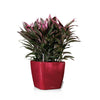 Image of Lechuza Quadro LS 28 Self Watering Pot - 28cm