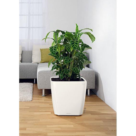 Lechuza Quadro LS 28 Self Watering Pot - 28cm