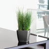 Image of Lechuza Quadro LS 35 Self Watering Pot - 35cm