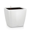 Image of Lechuza Quadro LS 35 Self Watering Pot - 35cm