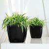 Image of Lechuza Quadro LS 35 Self Watering Pot - 35cm