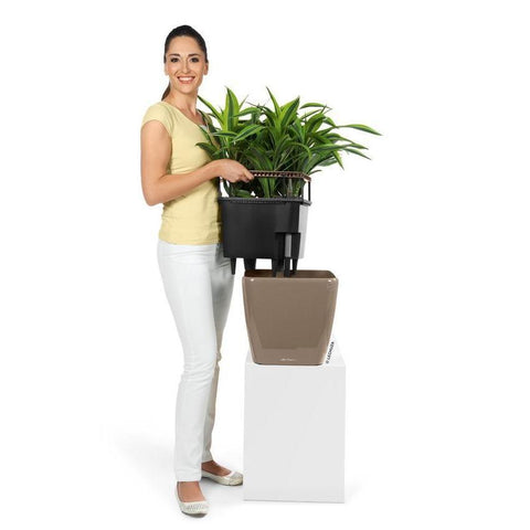 Lechuza Quadro LS 35 Self Watering Pot - 35cm