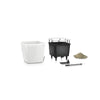 Image of Lechuza Quadro LS 50 Self Watering Pot - 50cm