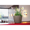 Image of Lechuza Quadro LS 50 Self Watering Pot - 50cm