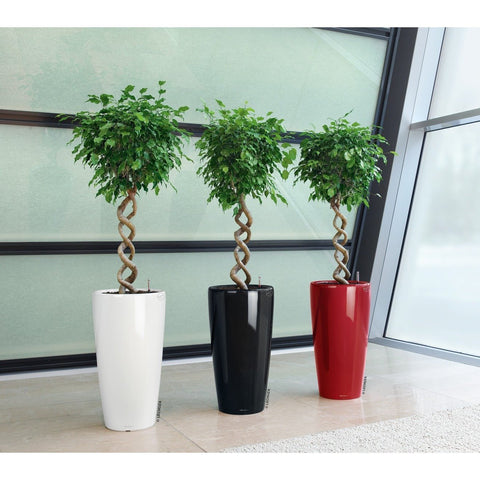 32cm plant pot Lechuza Rondo 32 Self Watering Pot