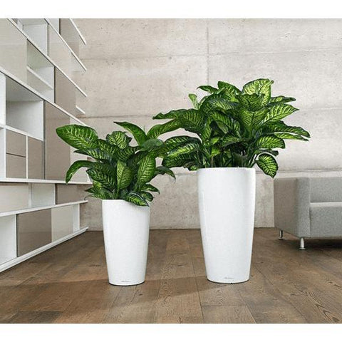 40cm plant pot Lechuza Rondo 40 Self Watering Pot