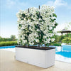 Image of Lechuza Trio 30 Cottage Self Watering Planter Trough