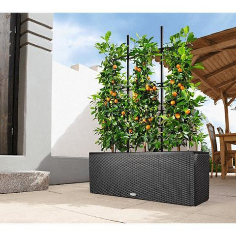 self watering planter trough Lechuza Trio 30 Cottage Self Watering Planter Trough – Vertical Gardens Direct