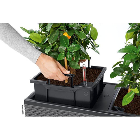 lechuza self watering planter Lechuza Trio 30 Cottage Self Watering Planter Trough – Vertical Gardens Direct