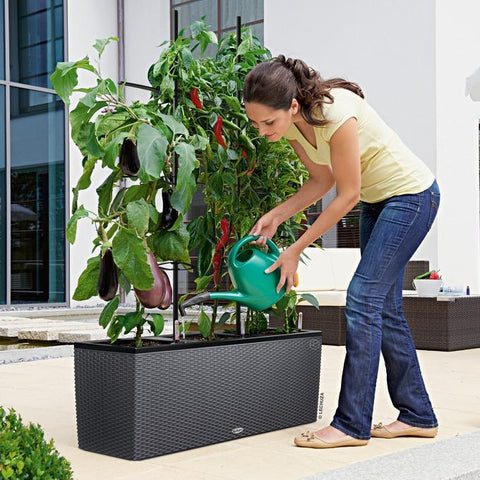 lechuza self watering planter Lechuza Trio 30 Cottage Self Watering Planter Trough – Vertical Gardens Direct