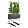 Image of Lechuza Trio 40 Cottage Self Watering Trough