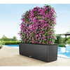 Image of Lechuza Trio 40 Cottage Self Watering Trough