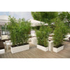 Image of Lechuza Trio 40 Cottage Self Watering Trough