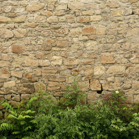Limestone Rubble Cladding & Ferns Custom Sized UV Printed Fence Cover
