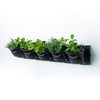 Image of Maze Vertical Garden 20 Pot Wall Planter Kit