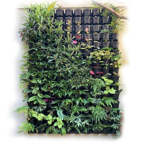 Maze Vertical Garden 40 Pot Wall Planter Kit