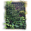 Image of Maze Vertical Garden 40 Pot Wall Planter Kit