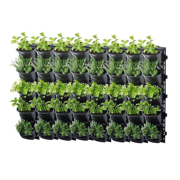 Maze Vertical Garden 40 Pot Wall Planter Kit – Vertical Gardens Direct
