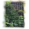 Image of Maze Vertical Garden Wall Planter Kit - 25 Pots (78cm x 80cm)