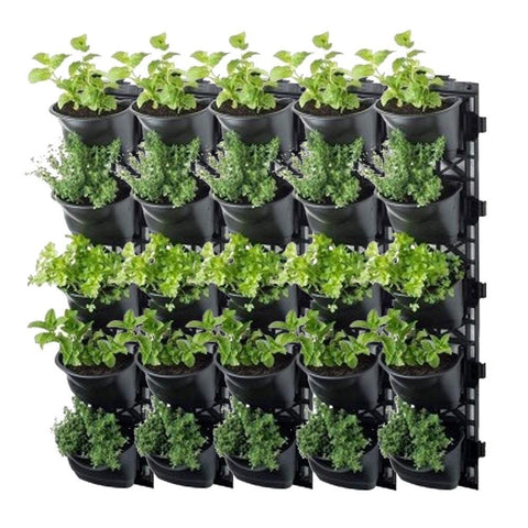 Maze Vertical Garden Wall Planter Kit - 25 Pots (78cm x 80cm)