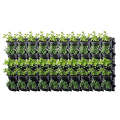 Maze Vertical Garden Wall Planter Kit - 50 Pots (78cm x 160cm)