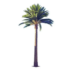 Tall Artificial Queensland Palm Tree (3m To 6m) UV Resistant