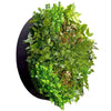 Image of Mixed Fern Circular Artificial Green Wall Plant Disc 80cm