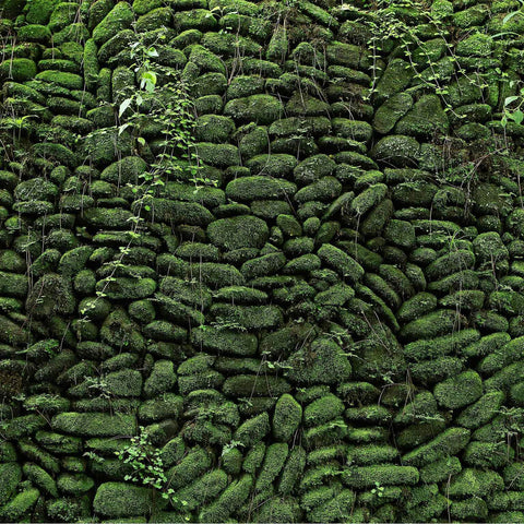Moss Rock Temple Wall Custom Sized UV Printed Fence Cover