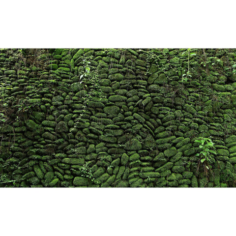 Moss Rock Temple Wall Custom Sized UV Printed Fence Cover