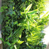 Image of OPEN BOX of 2 x Artificial Green Tropics Vertical Garden 1m Panels UV Stabilised