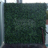 Image of OPEN BOX of 5 x Artificial Ivy Leaf Hedge 1m Panels UV Stabilised