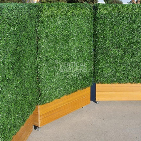 Portable Artificial Boxwood Partition Hedge On Wheels 1m x 1m x 30cm UV Stabilised