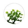 Image of Portable Artificial Boxwood Partition Hedge On Wheels 1m x 1m x 30cm UV Stabilised