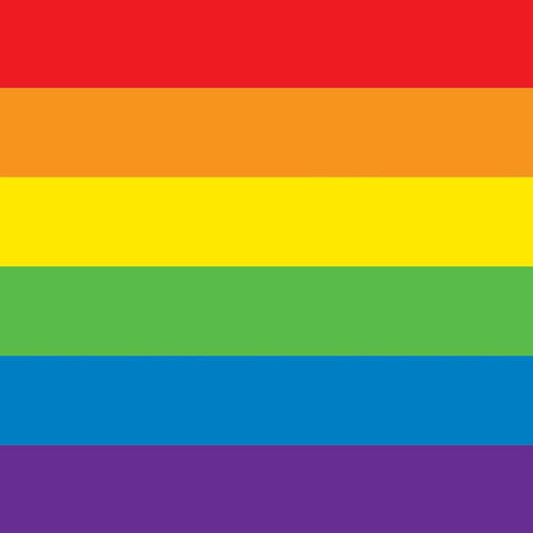 Pride Rainbow Flag Custom Size UV Printed Fence Cover