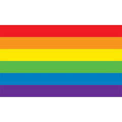 Pride Rainbow Flag Custom Size UV Printed Fence Cover
