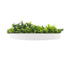 Image of Slimline Flowering White Artificial Green Wall Disc UV Resistant 50cm - White