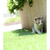 Image of Synthetic Artificial Grass Turf 10 sqm Roll - 20mm