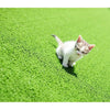 Image of Synthetic Artificial Grass Turf 10 sqm Roll - 20mm