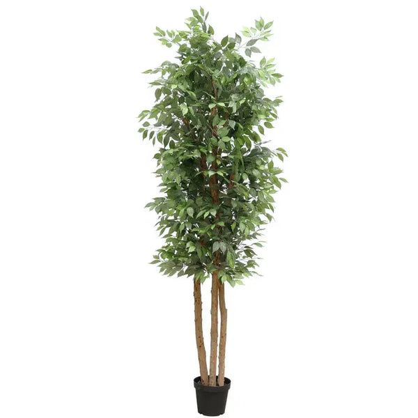 Large Custom Made Ficus Tree 250cm – Vertical Gardens Direct