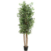 Image of Large Custom Made Ficus Tree 250cm