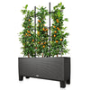 Image of Trellis For Lechuza Trio 40 Self Watering Trough