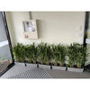 Image of Artificial Twiggy Japanese Bamboo on Natural Trunk 90cm