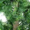 Image of UV Resistant Cedar Cypress Spiral Tree 1.8m
