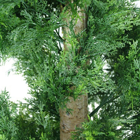UV Resistant Cypress Pine Tree, Various Sizes