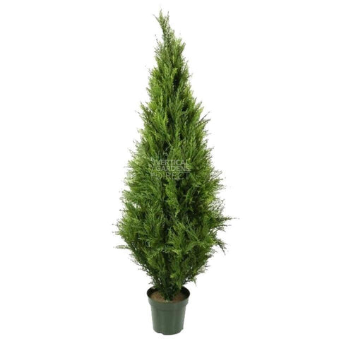 UV Resistant Cypress Pine Tree, Various Sizes