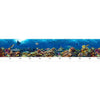 Image of Underwater Seascape Custom Size UV Printed Fence Cover