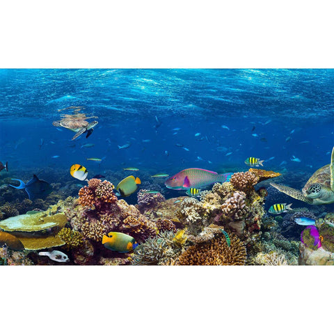 Underwater Seascape Custom Size UV Printed Fence Cover