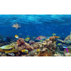 Image of Underwater Seascape Custom Size UV Printed Fence Cover
