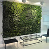 Image of Vicinity Greenwall Slim Kit 40 Pots, Tanks, Pump 60cm x 2.2m