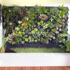 Image of Vicinity Greenwall Slim Kit 40 Pots, Tanks, Pump 60cm x 2.2m